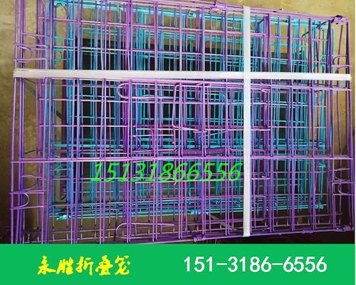 信鴿專用折疊觀察籠 河北永勝絲網制品廠的匠心之作