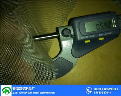 青蛙紗網 絲網制品中的環保與實用典范